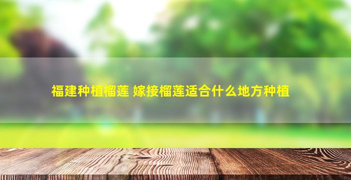 福建种植榴莲 嫁接榴莲适合什么地方种植